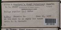 Image Associated With the Occurence